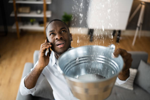 Best Water damage restoration mold remediation  in Burns Flat, OK