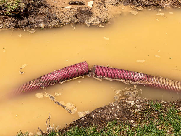 Best Water damage contractors near me  in Burns Flat, OK